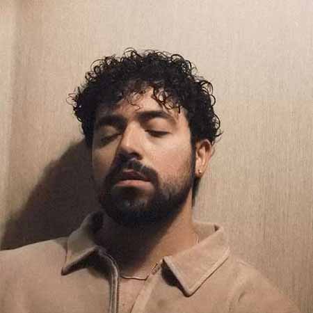 دانلود آهنگ دلم برات تنگ میشه شروین